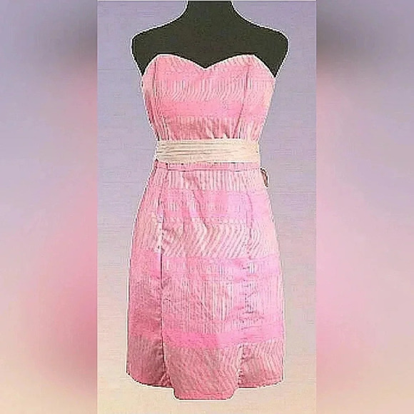 Elegant Holiday Chic Pink 12 Strapless Soft Stretch Formal Events Dress - Picture 2 of 7